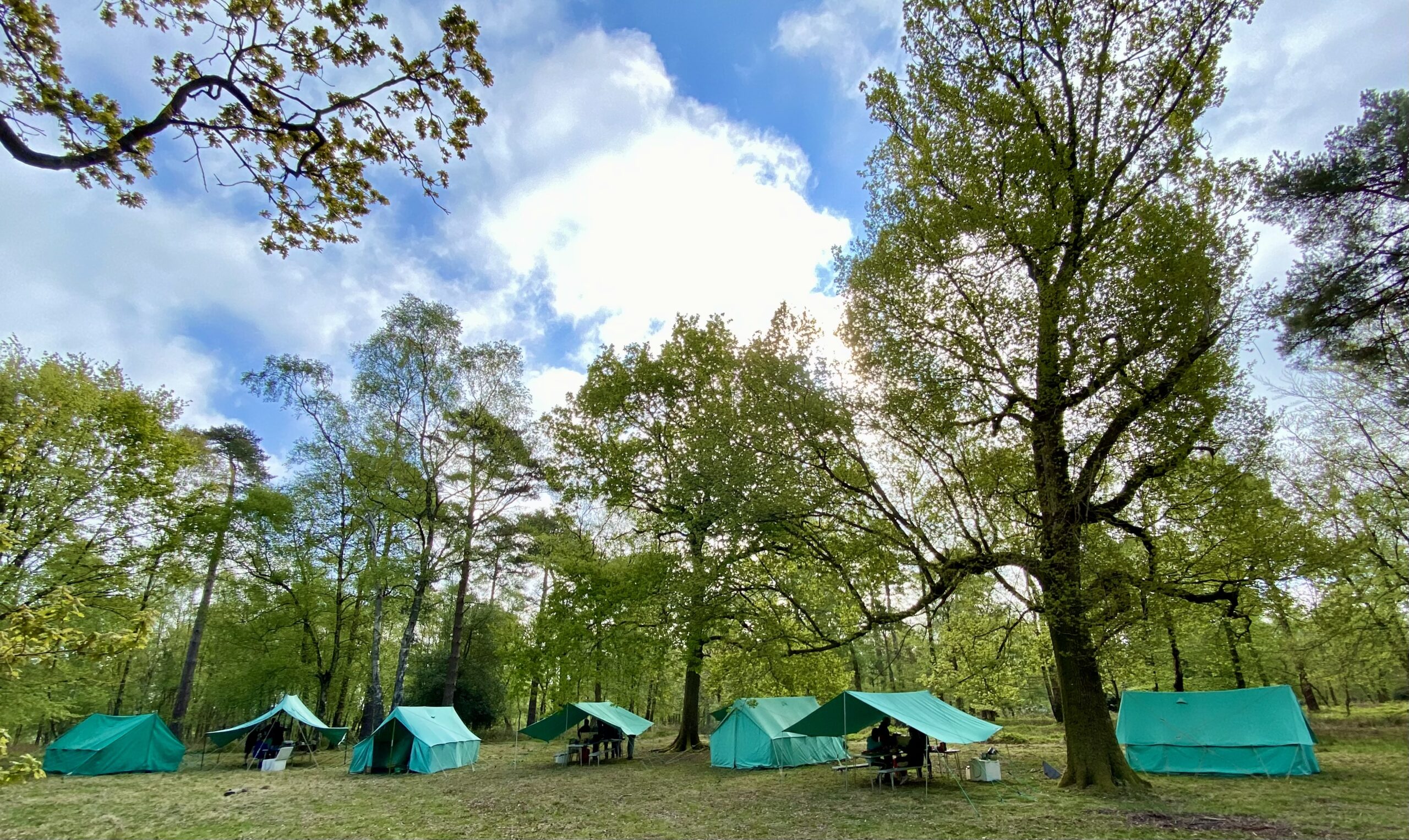 (c) 2ndcuddingtonscouts.org.uk